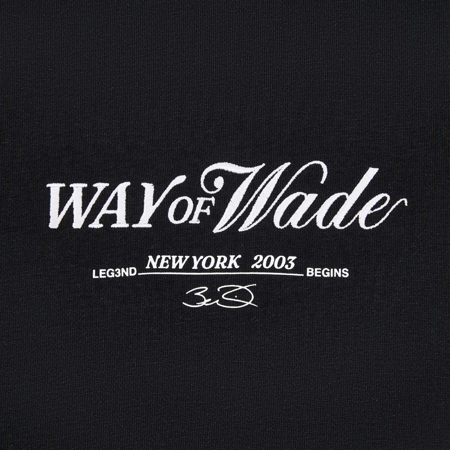 AWDW293-1 Толстовка Wade черный