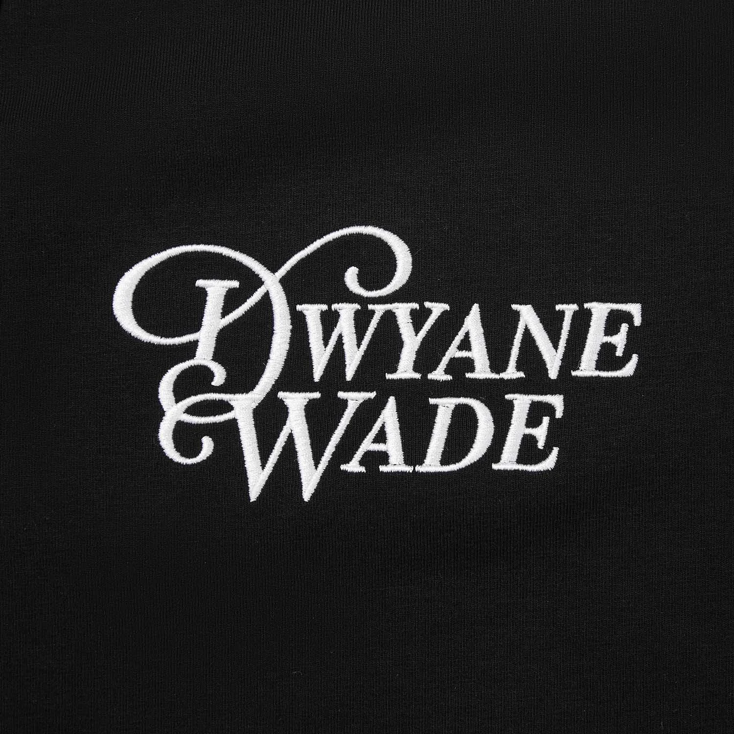AKLW147-1 Брюки спортивные Wade черный
