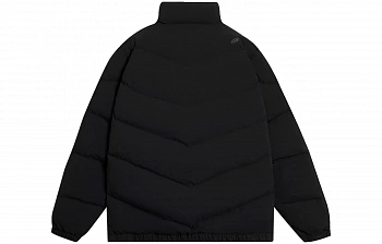 AYMS143-1 Пуховик Wade черный