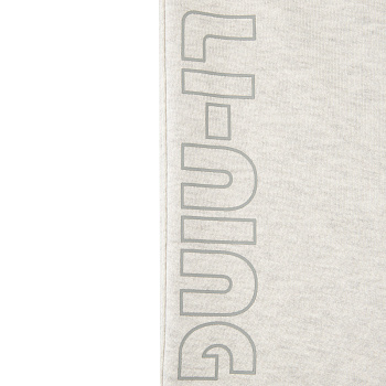 AKLW529-6 Брюки спортивные Logo Lab серый