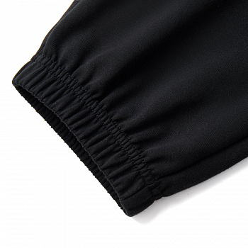 AKLV352-4 Брюки спортивные Sports Style черный