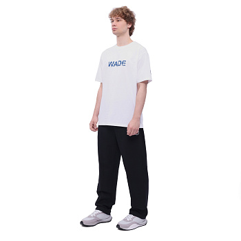 AKLW149-2 Брюки спортивные Wade черный