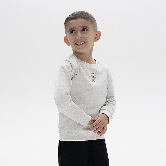 YWDU071-4 Свитшот Kids серый