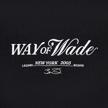 AWDW293-1 Толстовка Wade черный