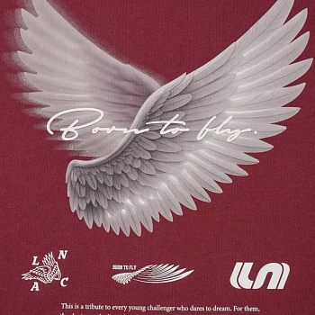 AHSWD63-2 Футболка Logo Lab красный