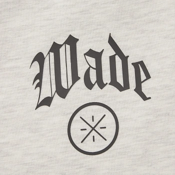 AKLW427-2 Брюки спортивные Wade серый