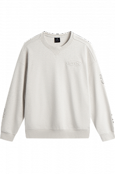 AWDV257-5 Толстовка Wade Lifestyle фиолетовый