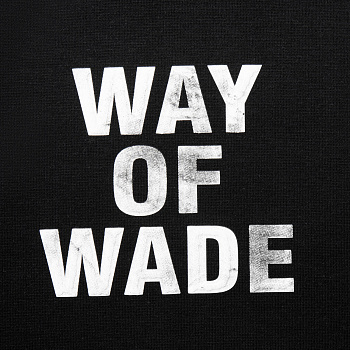 AWDV259-1 Толстовка Wade Lifestyle черный